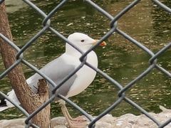 -石家庄市动物园