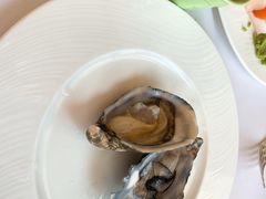 -上海和平饭店华懋阁 Cathay Room