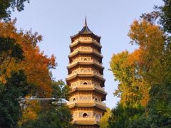 -灵谷景区