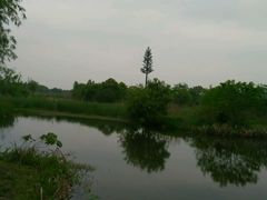 湖-梁鸿国家湿地公园