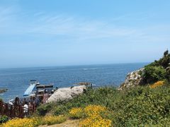 -养马岛旅游度假区