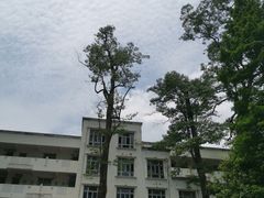 -四川省成都市彭州市白鹿镇