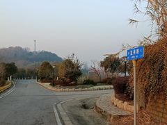 -羊山湖公园