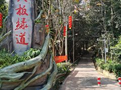 -东莞市大岭山森林公园