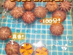 -连鹭海鲜·海肠捞饭·海胆饭(星海店)
