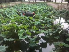 -绍兴鉴湖君澜大酒店