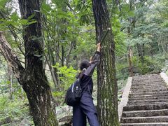 -尧山风景区