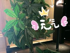 -新紫霞养生·影院足道·SPA(金山区店)