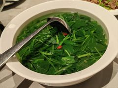 清水时蔬-醉庐·新上海菜(南京西路店)