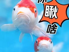 -盒马鲜生(杭州运河上街店)