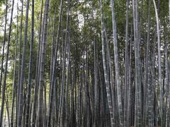 -杭州黄龙洞