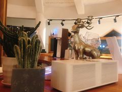 -ChanDu躔度咖啡(灯塔店)