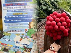 -HERRE·FARM 赫尔露营农场·团建聚会包场