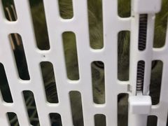 -联合动物医院(光谷诊疗中心)