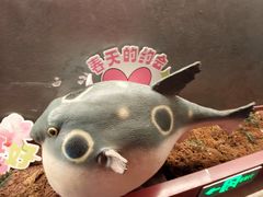 -肆月河豚·新淮扬菜·烤鸭(中关村店)