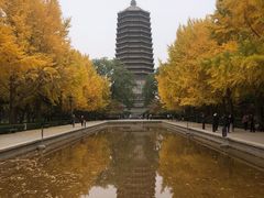 -玲珑塔公园