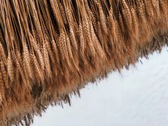 -时代美术馆-成都馆