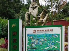-野象谷景区