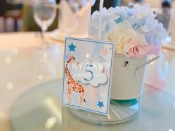 -瑞贝生日派对宝宝宴策划