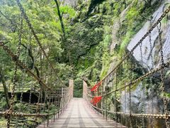 -大鄣山卧龙谷景区