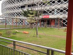 -广州白云国际机场-T1航站楼