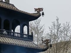-白云观