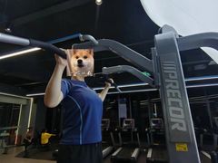 -超鹿运动(五四路恒力城店)