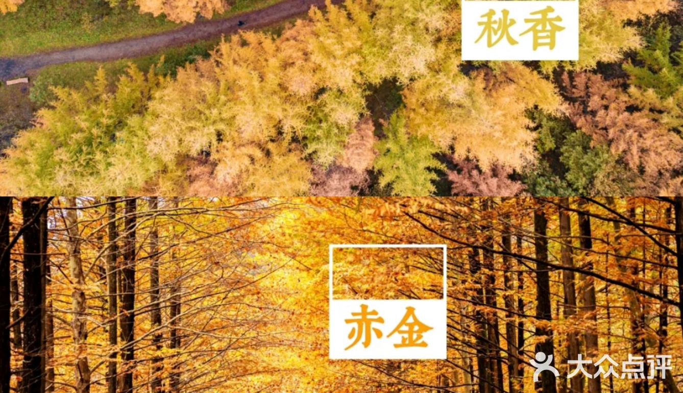 西安周边丨自驾秦岭红叶秘境,畅玩多彩之秋