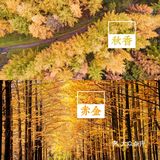 西安周边丨自驾秦岭红叶秘境,畅玩多彩之秋