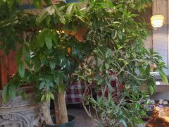 -慢丽江·云南野生菌土鸡锅(付家庄店)
