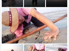 android_upload_pic-北海金海湾红树林生态旅游区