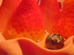 -FALANC CAKE生日蛋糕(广州店)