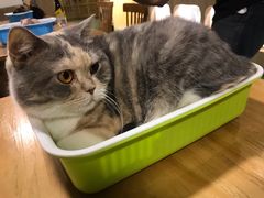 -藦茜花园宠物主题亲子互动体验馆(国顺东路店)