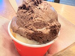 -Patagonia Chocolates(皇后镇店)