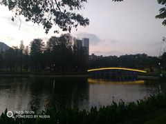 -四海公园(南山区)