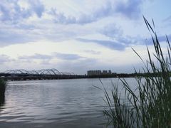 -灞河西岸滨河公园