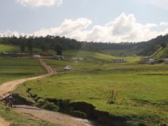 -关山草原
