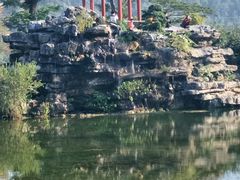 -顺峰山公园