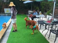 -汪说喵讲宠物乐园宠物酒店(红星美凯龙店)