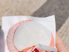 -澳门长洲糯米糍(柯打苏沙街店)