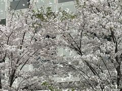 -上海市第十人民医院(总院)