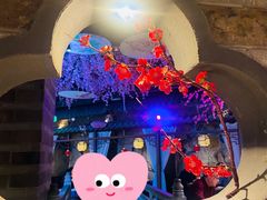-韵秋荷(宝山龙湖天街店)