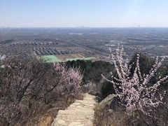 -北京西山国家森林公园