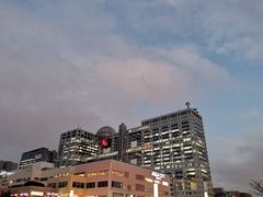 -台场海滨公园船码头