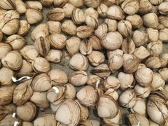 -百富源·海鲜辽菜(张士店)
