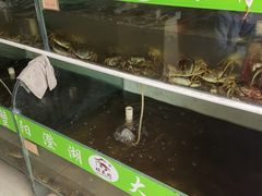 水产区-阳澄湖大闸蟹·琼灵阁牌品牌连锁(吴中总店)