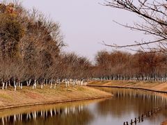 -上海海湾国家森林公园