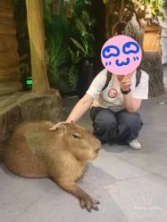 -Zoolung Zoolung动物主题公园(海信广场店)