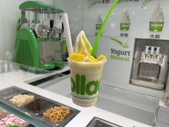 -Salud撒露欧洲冻酸奶(蓝色港湾店)