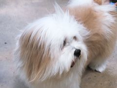 -TrueLove @ Neverland (Husky Cafe)